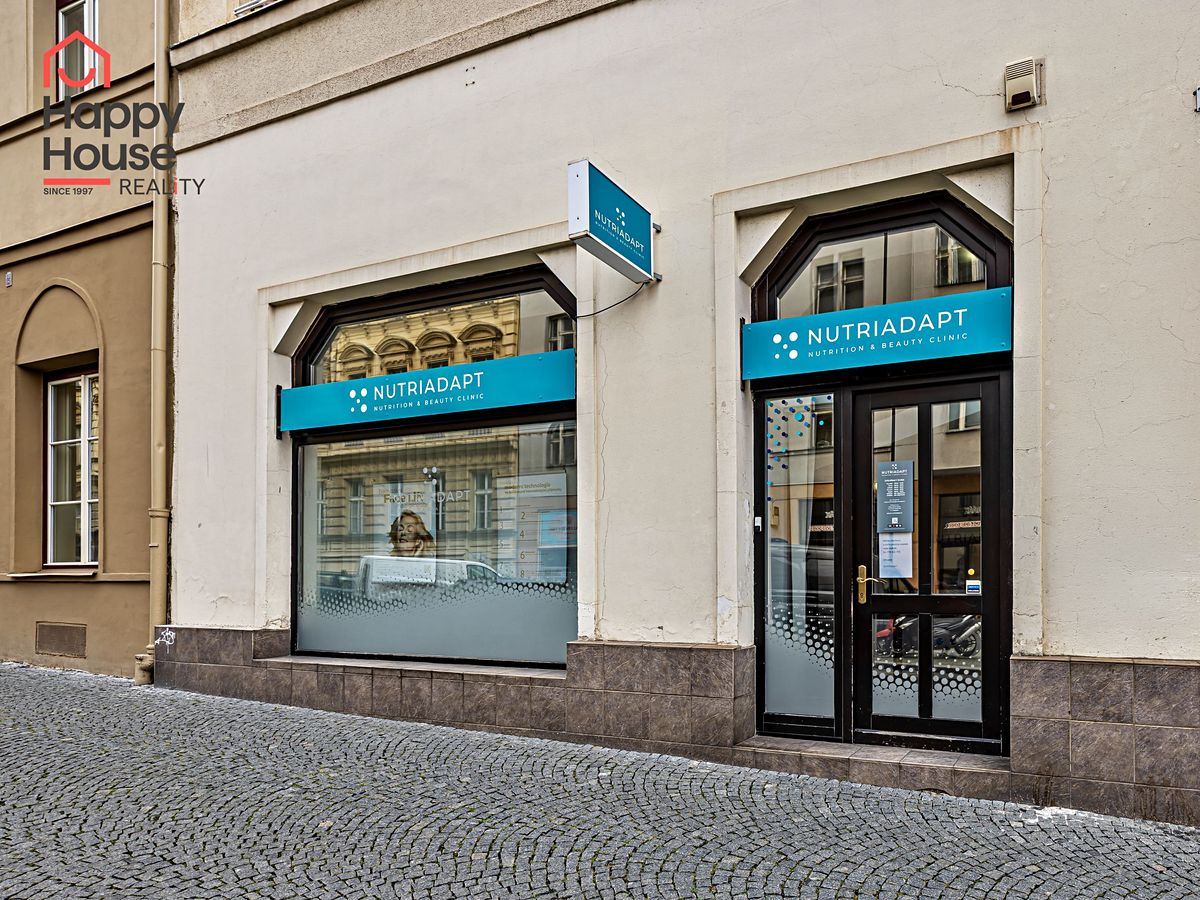 Pronájem obchodního prostoru 110 m² – fotografie 3