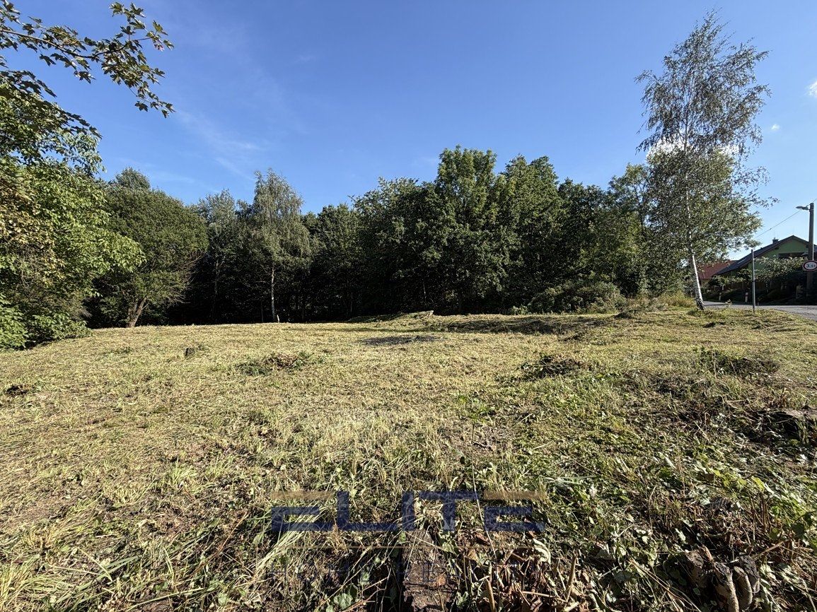 Pronájem stavebního pozemku 1561 m² – fotografie 3