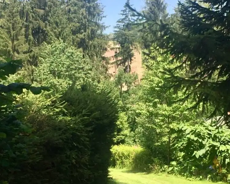 Prodej stavebního pozemku 3004 m², Kaplice – náhled fotky 3