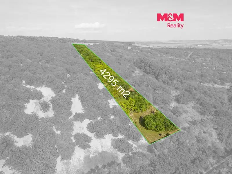 Prodej sadu, vinice 4295 m², Židlochovice – náhled fotky 1