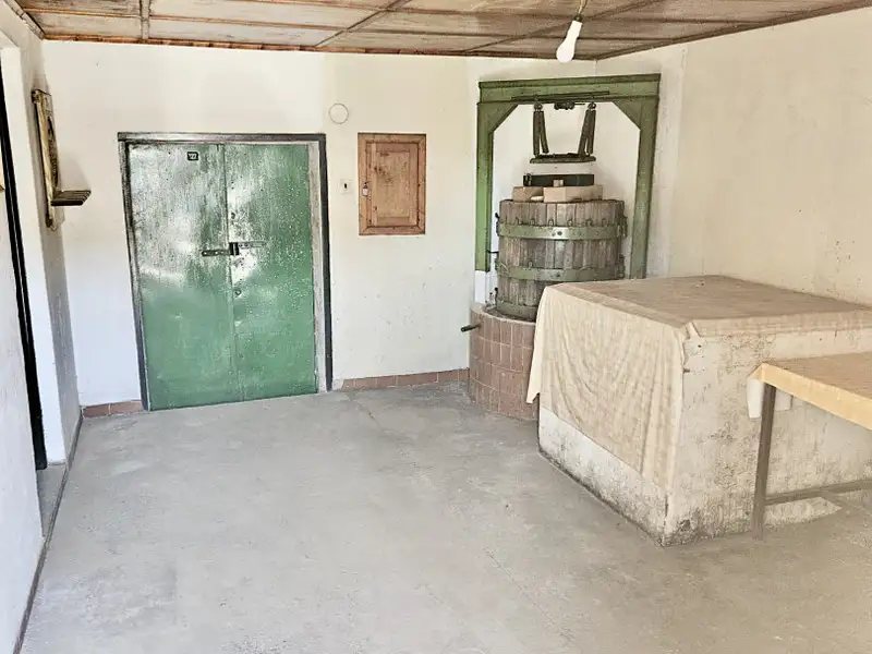 Prodej vinného sklepa 141 m², Mutěnice – náhled fotky 3
