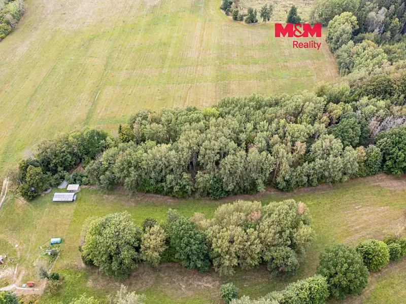 Prodej lesa 715 m², Rodná – náhled fotky 1