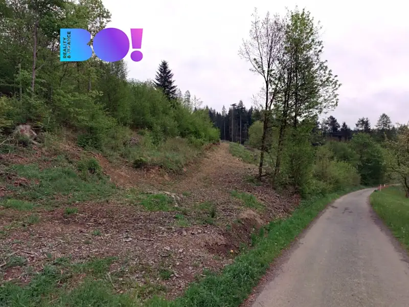 Prodej lesa 105864 m², Liptál – náhled fotky 2