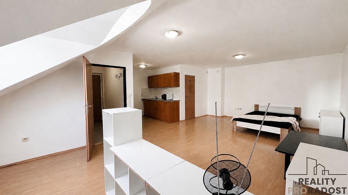 Pronájem bytu 1+kk 50 m² – fotografie 5