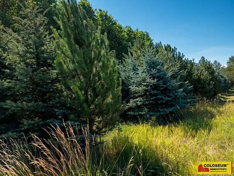 Prodej pole 5202 m², Znojmo – náhled fotky 3