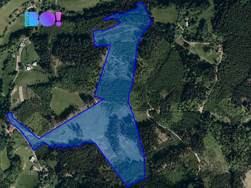 Prodej lesa 105864 m², Liptál – náhled fotky 1