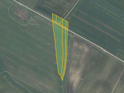 Prodej pole 8634 m²