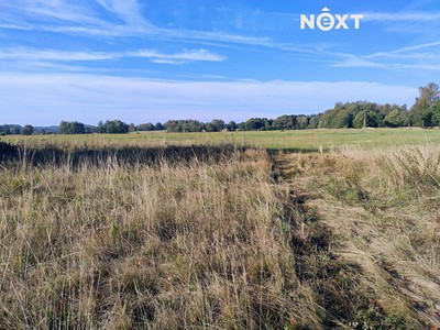Grundstück zum Kauf, 842 m² (3 von 9)