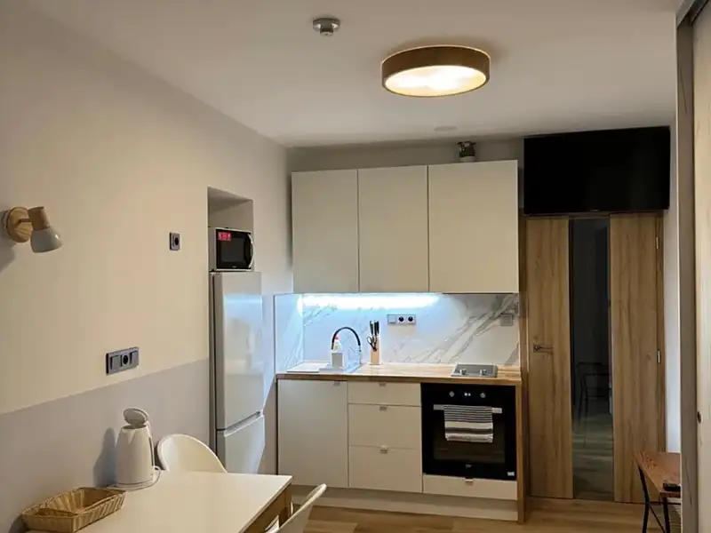 Pronájem bytu 1+kk 25 m², Kořenov – náhled fotky 3