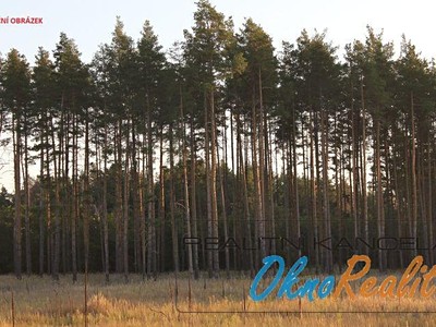 Ділянка на продаж, 8 452 м² (2 з 4)