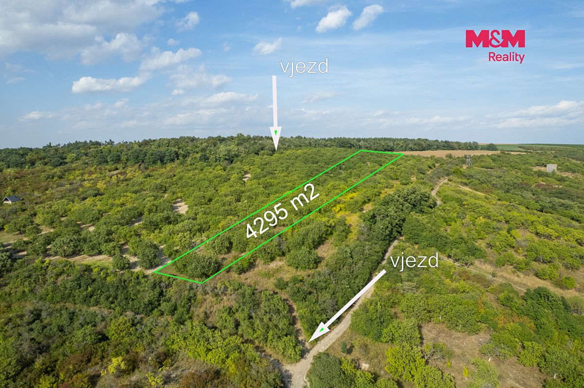 Prodej sadu, vinice 4295 m² – fotografie 2