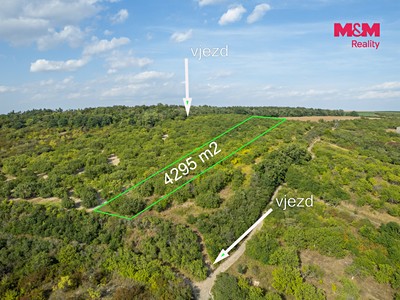 Prodej pozemku, 4 295 m² (2 z 10)