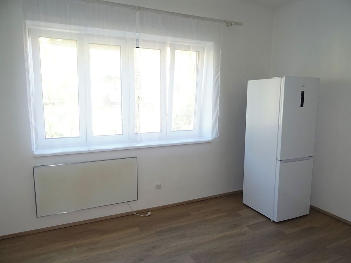 Pronájem bytu 1+1 46 m² – fotografie 3