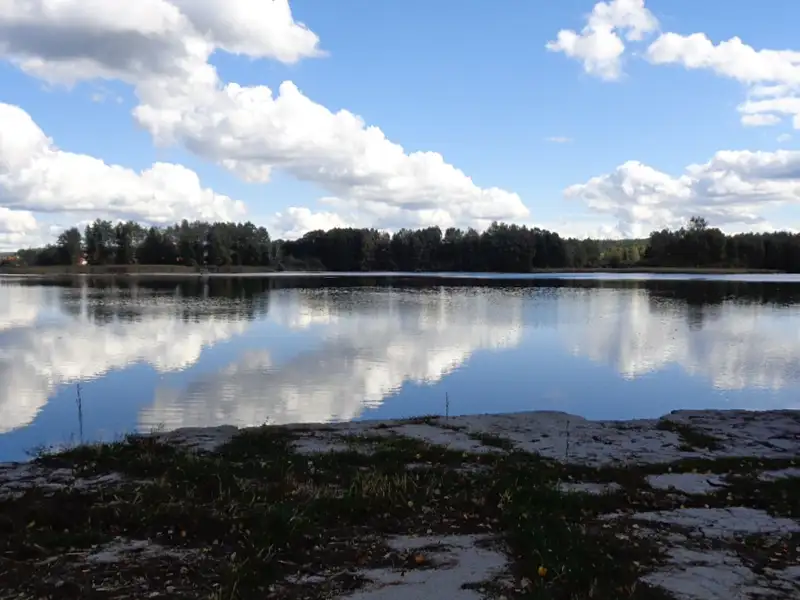 Prodej pole 5569 m², Chlum u Třeboně – náhled fotky 2