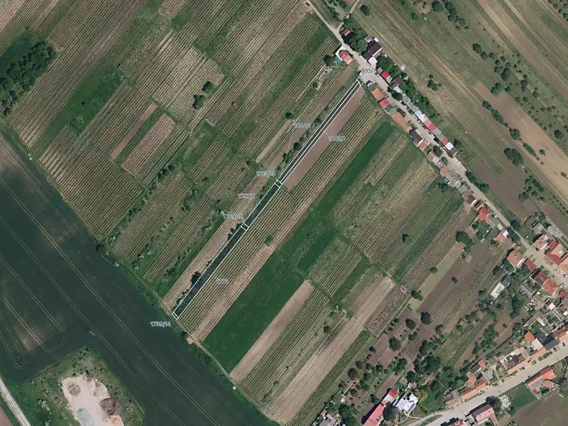 Prodej pole 6005 m², Starý Poddvorov – náhled fotky 2