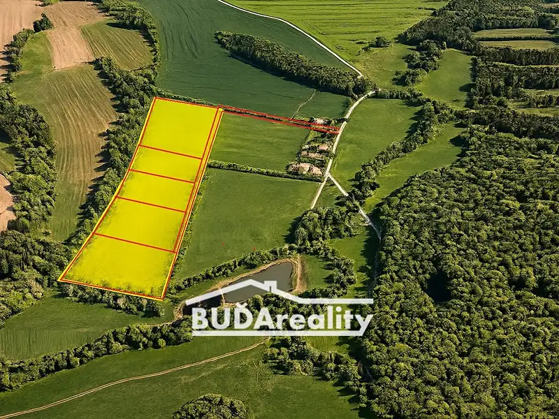 Prodej pole 15000 m², Bojkovice – náhled fotky 3