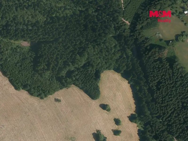 Prodej lesa 8743 m², Valašská Senice – náhled fotky 3
