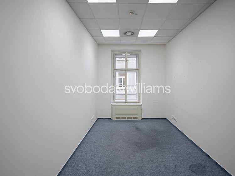 Pronájem komerčního prostoru, 300 m² (3 z 19)