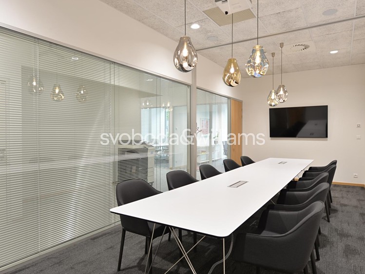 Pronájem komerčního prostoru, 162 m² (10 z 16)