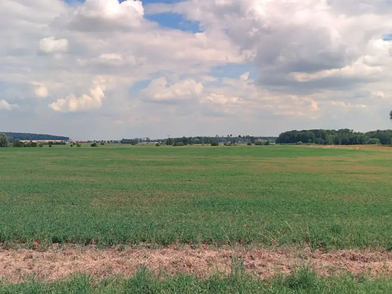 Prodej pozemku 6524 m², Kladruby nad Labem – náhled fotky 2