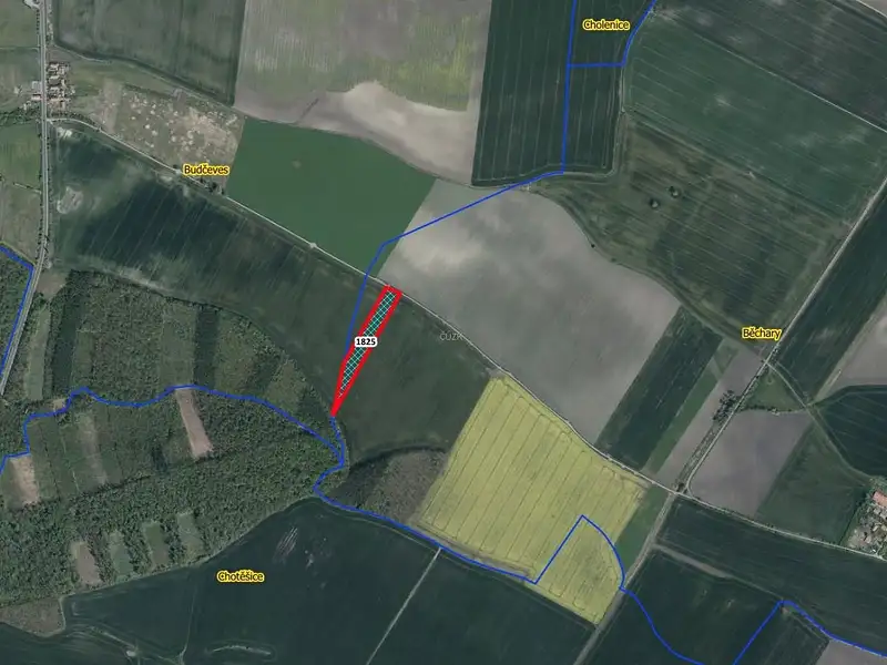 Prodej pole 12202 m², Běchary – náhled fotky 2