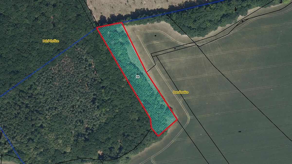 Prodej pozemku 5593 m², Dománovice – fotka 1 z 3