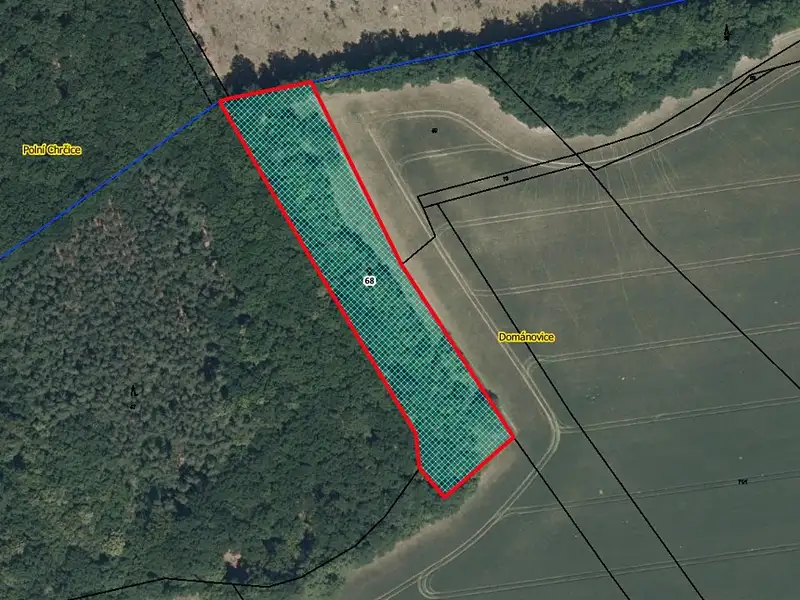 Prodej pozemku 5593 m², Dománovice – náhled fotky 1