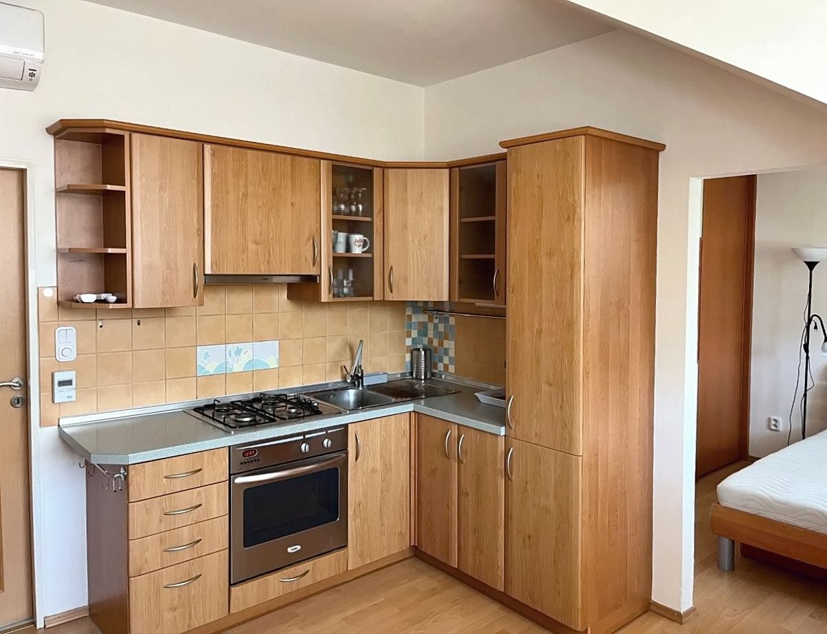 Pronájem bytu 2+kk 45 m²