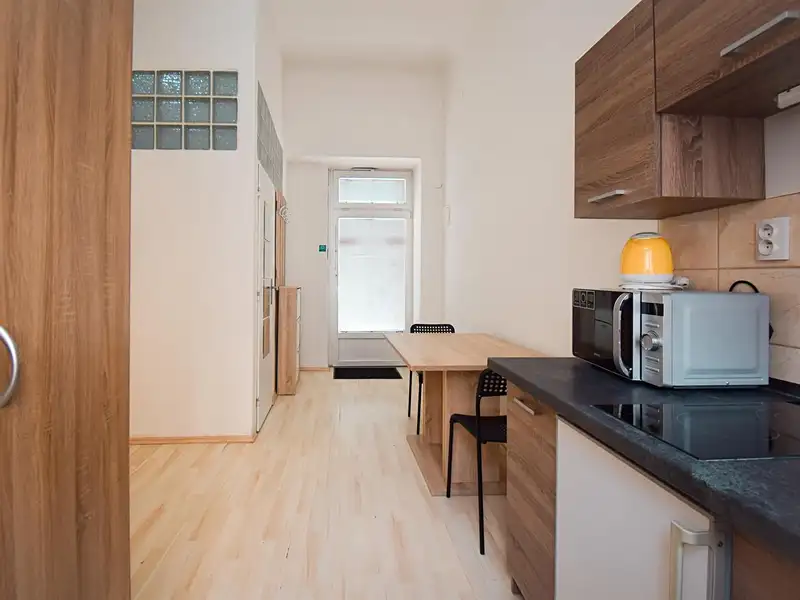 Pronájem bytu 2+1 45 m², Brno – náhled fotky 2