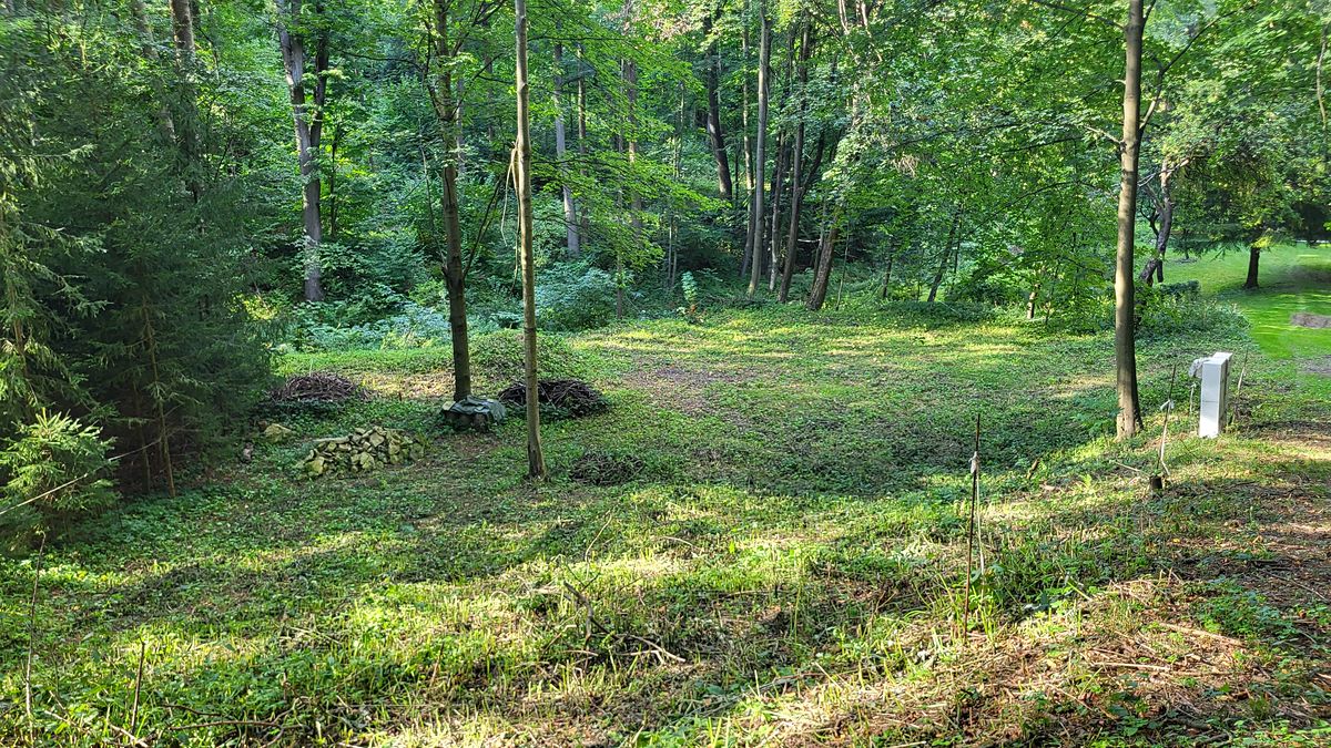 Pronájem zahrady 935 m² – fotografie 3