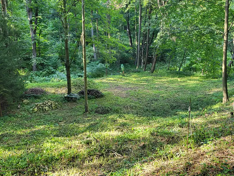 Pronájem zahrady 935 m², Javorník – náhled fotky 3