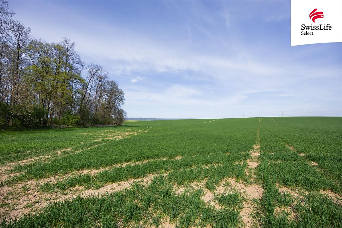 Prodej pole 18365 m² – fotografie 3