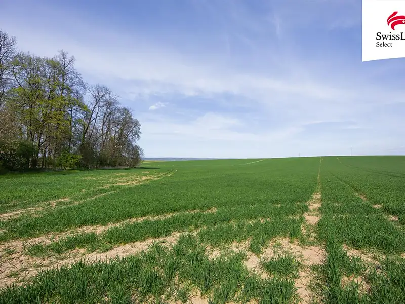 Prodej pole 18365 m², Vysoké Mýto – náhled fotky 3
