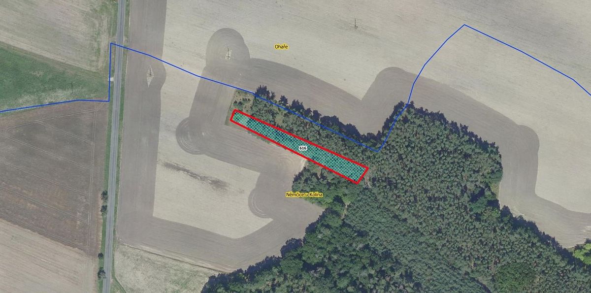Prodej lesa 1392 m², Němčice – fotka 1 z 3