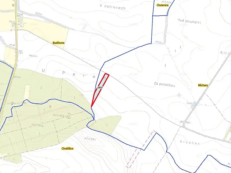 Prodej pole 12202 m², Běchary – náhled fotky 3