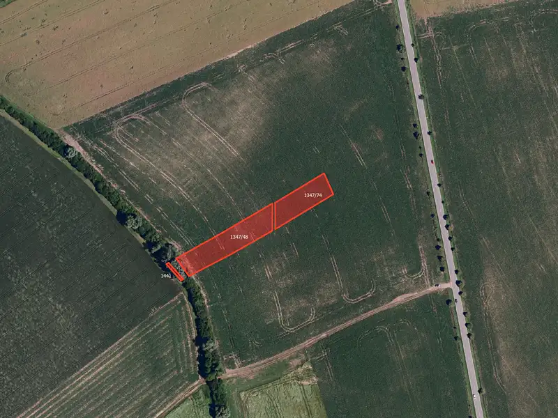 Prodej pole 4649 m², Nížkovice – náhled fotky 1
