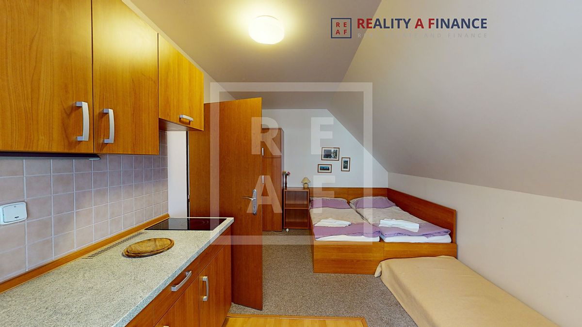Prodej ubytovacího zařízení 441 m² – fotografie 3