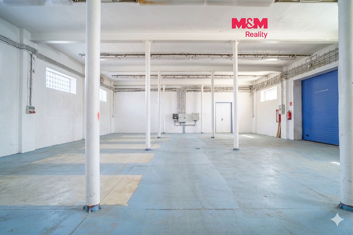 Pronájem obchodního prostoru 1200 m²