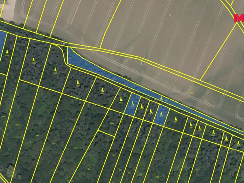 Prodej lesa 5857 m², Kounice – náhled fotky 2