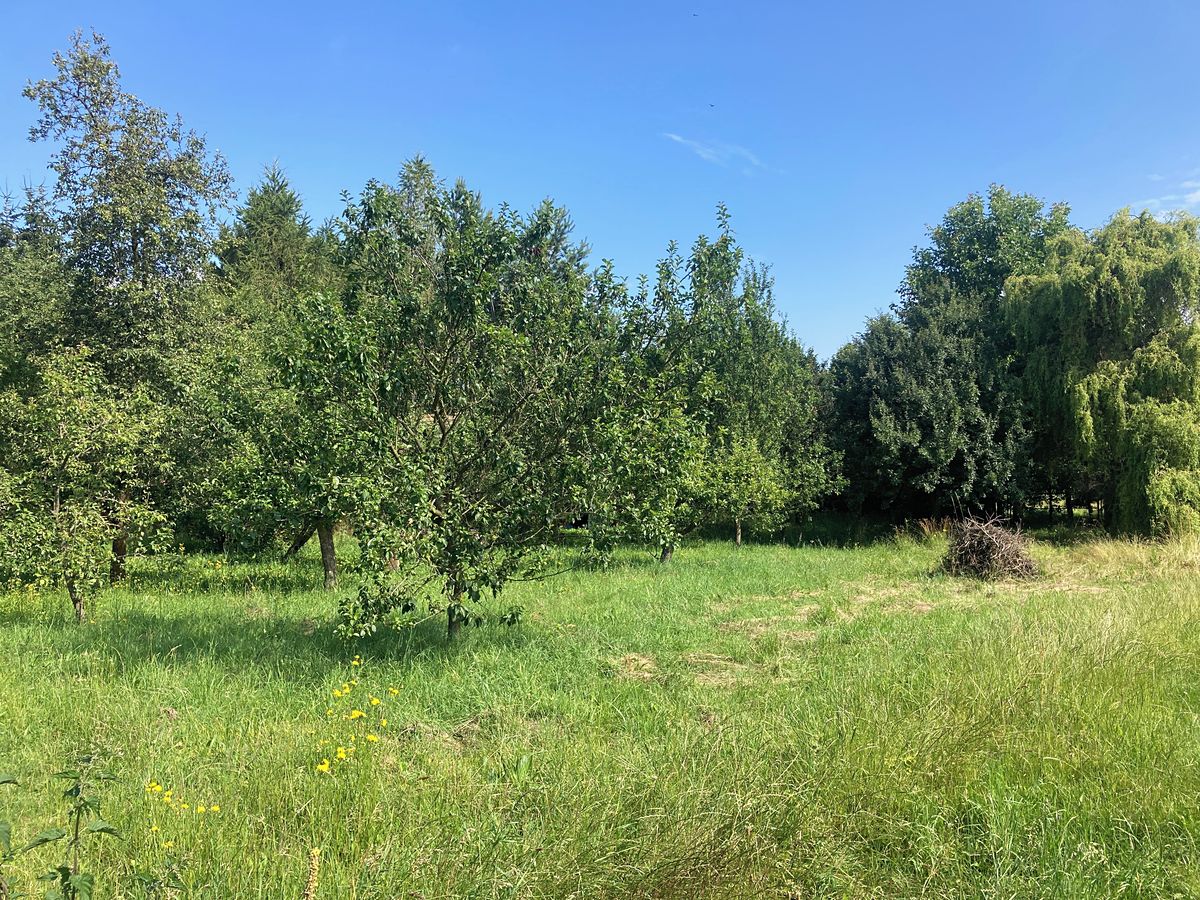 Prodej stavebního pozemku 2549 m² – fotografie 2