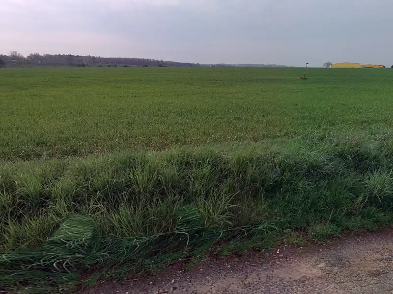 Prodej pole 24904 m², Benátky nad Jizerou – náhled fotky 2