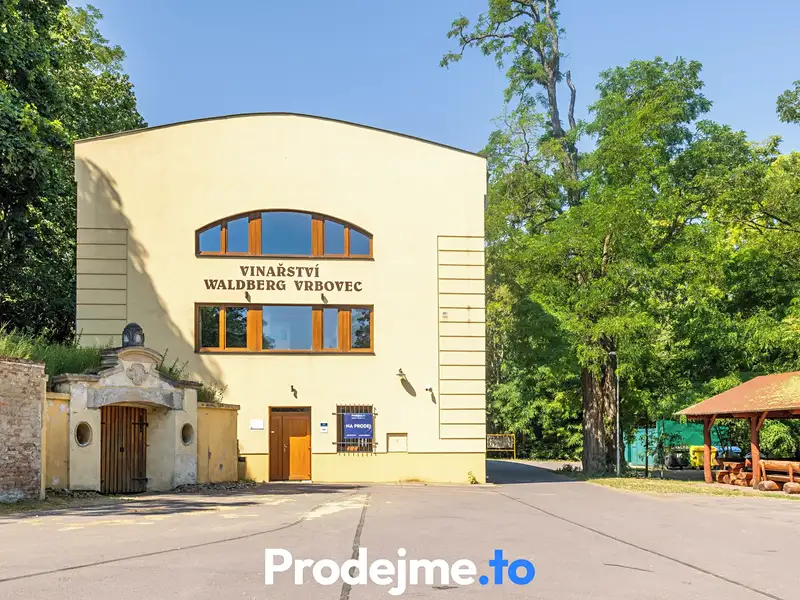 Prodej vinného sklepa 1000 m², Chvalovice – náhled fotky 2