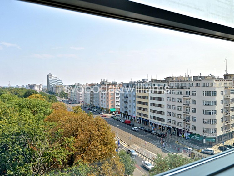 Gewerbefläche zur Miete, 387 m² (3 von 5)