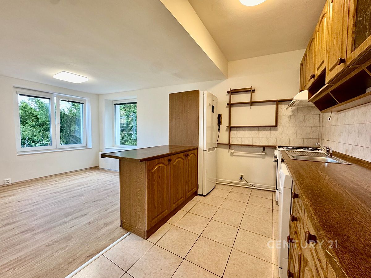 Pronájem bytu 2+kk 64 m²