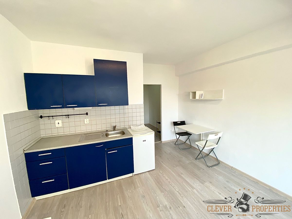 Pronájem bytu 1+kk 25 m² – fotografie 4