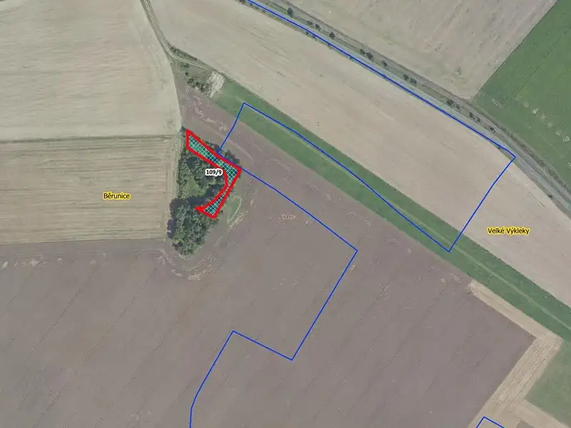 Prodej lesa 1361 m², Běrunice – náhled fotky 2