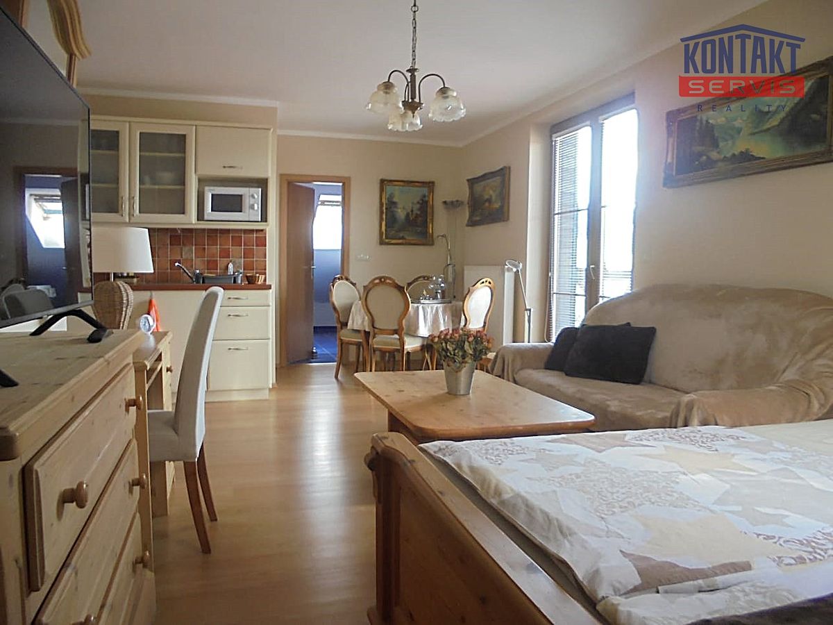 Pronájem bytu 1+kk 50 m²