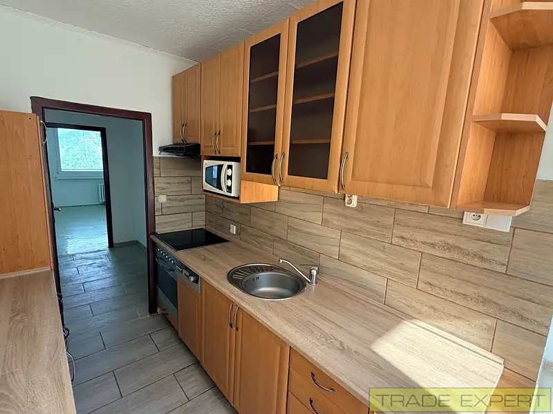 Prodej bytu 2+1 61 m², Ústí nad Labem – náhled fotky 2