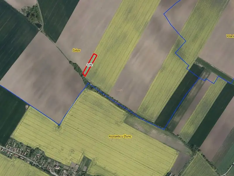 Prodej pole 4305 m², Češov – náhled fotky 2