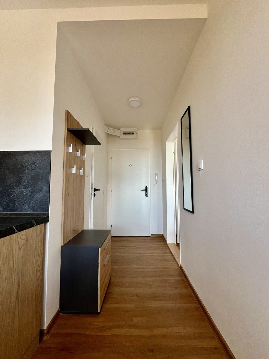 Pronájem bytu 1+1 38 m² – fotografie 4